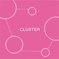 vision cluster